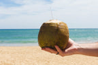 Noix de coco sur la plage