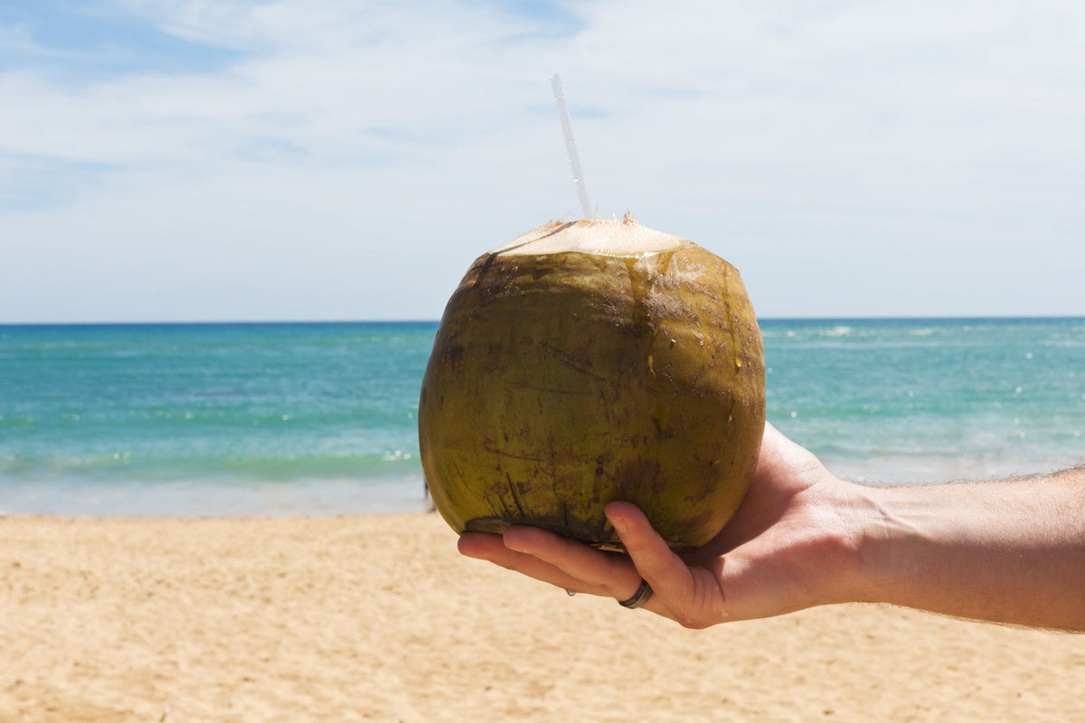 Noix de coco sur la plage