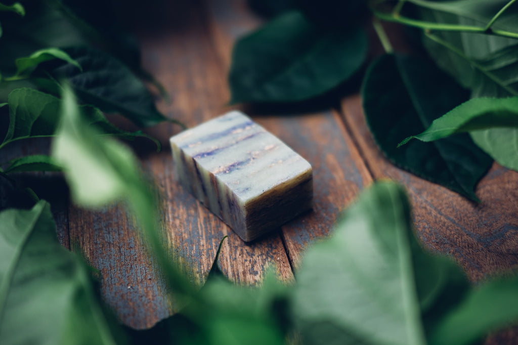 Savon parmi des feuilles