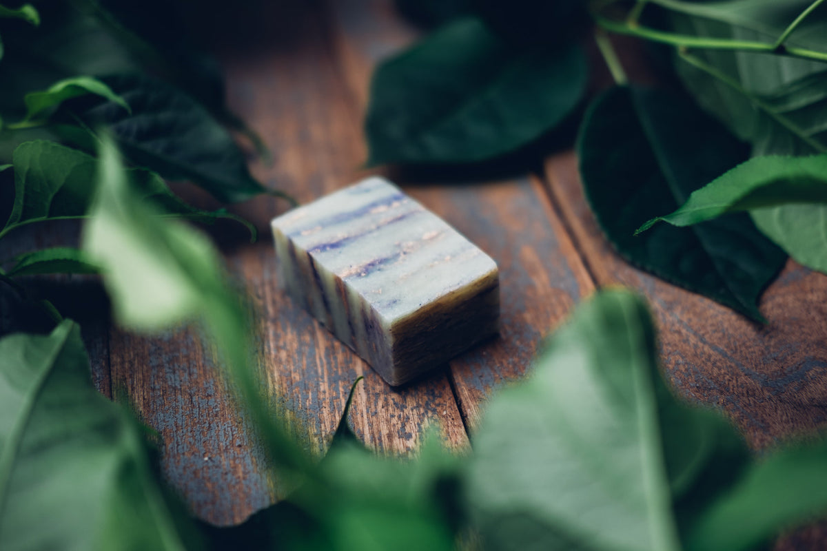 Savon parmi des feuilles